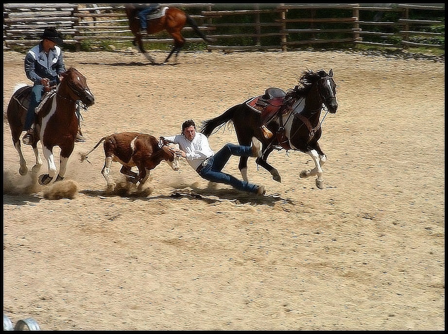 V. Rodeo show Boskovice 2004