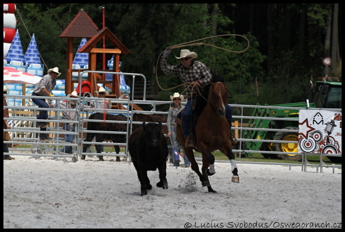 Pro Rodeo 2012 (8)