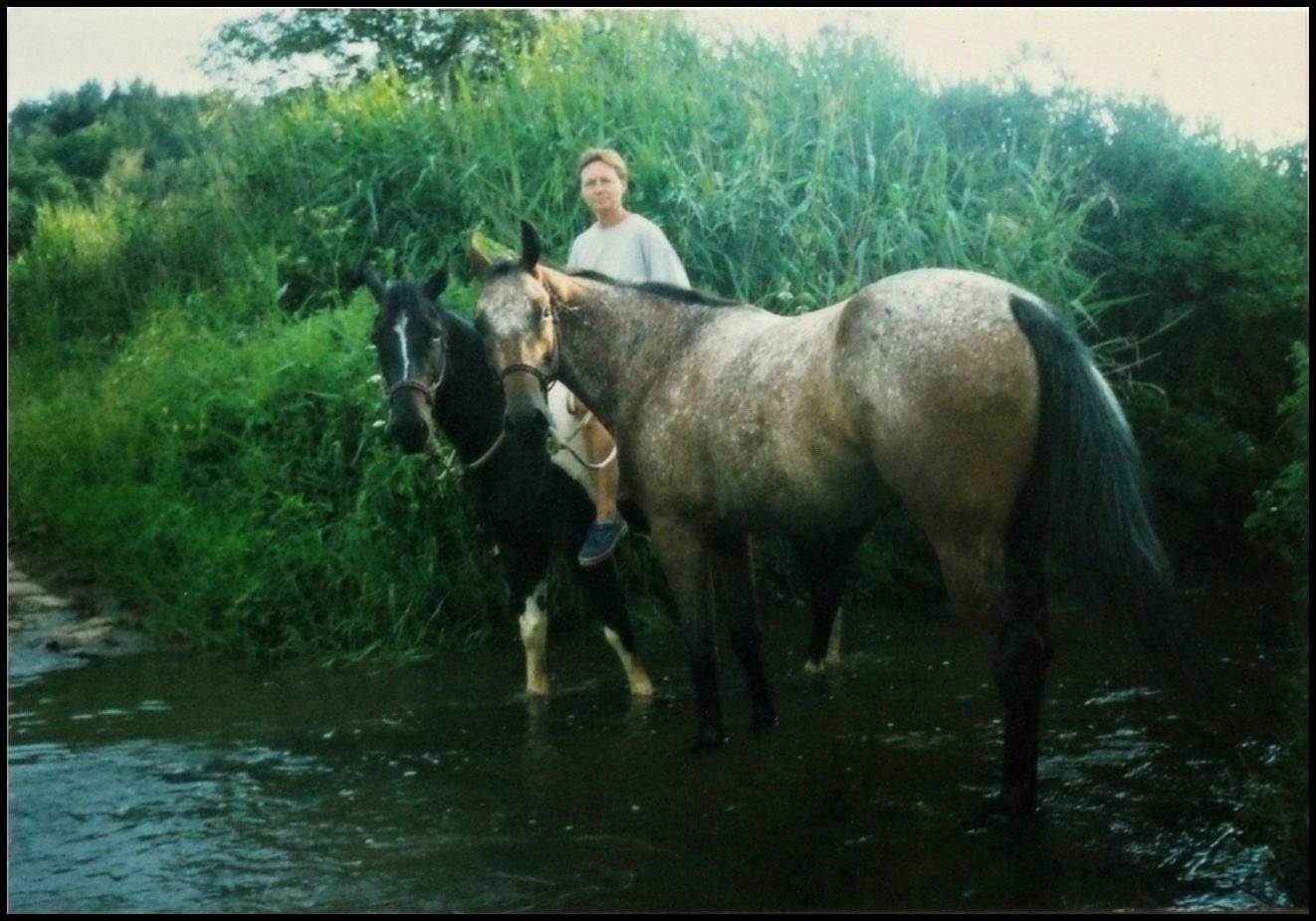 Již prokvetlá - léto 1999