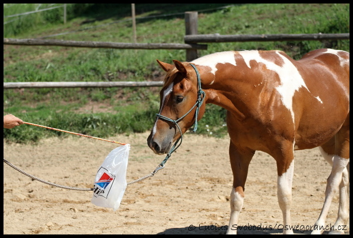 Obsedání červen 2012 (3)