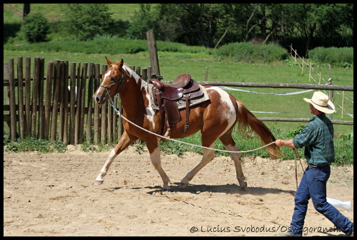 Obsedání červen 2012 (6)