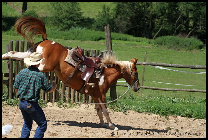 Obsedání červen 2012 (7)