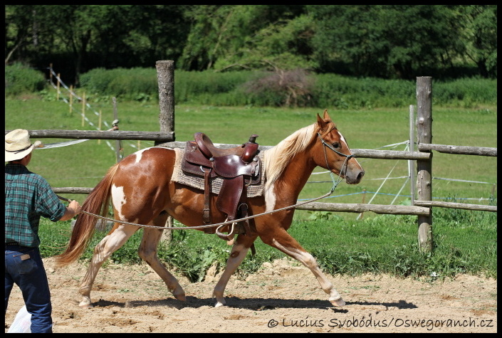 Obsedání červen 2012 (9)