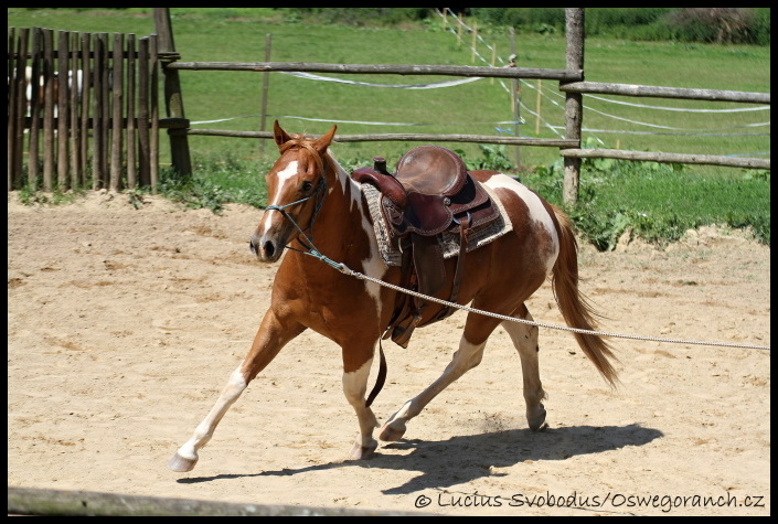 Obsedání červen 2012 (10)