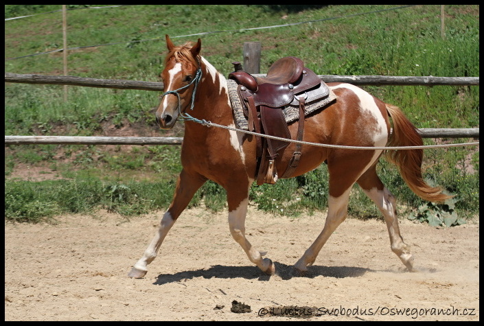 Obsedání červen 2012 (12)