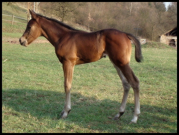 Princezna TB 5.4.2009