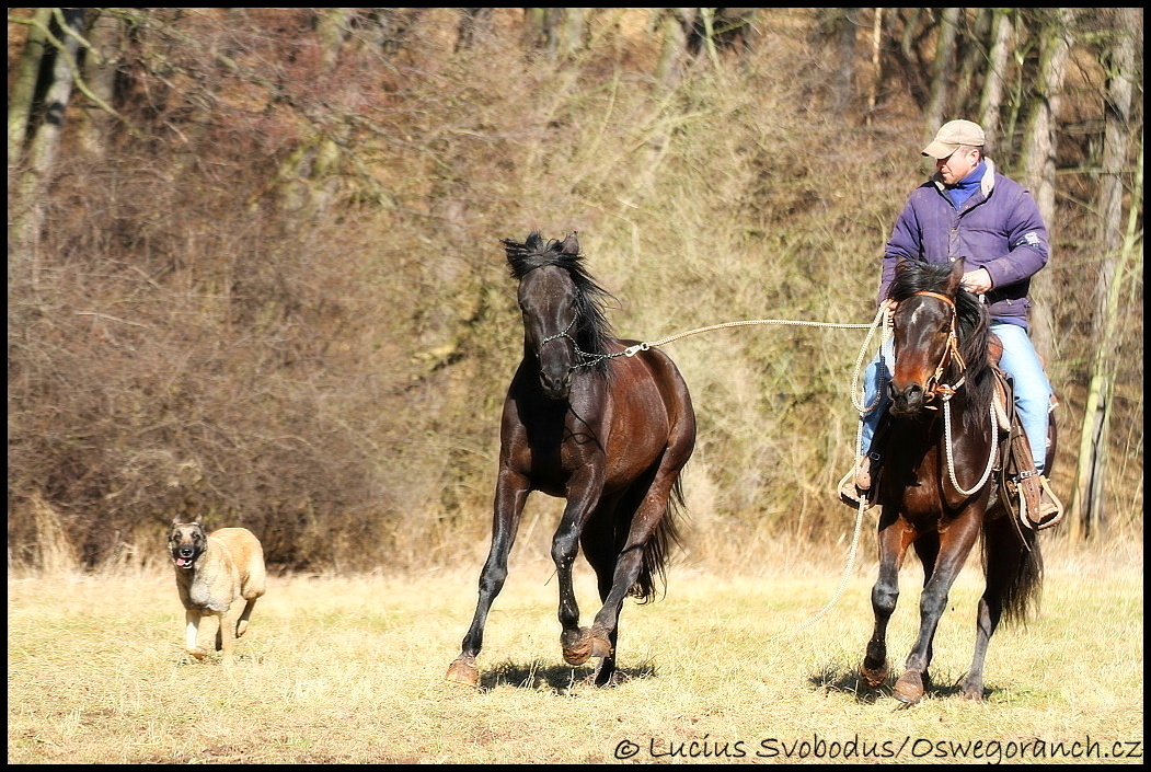 V terénu se Safirou 5.3.2012