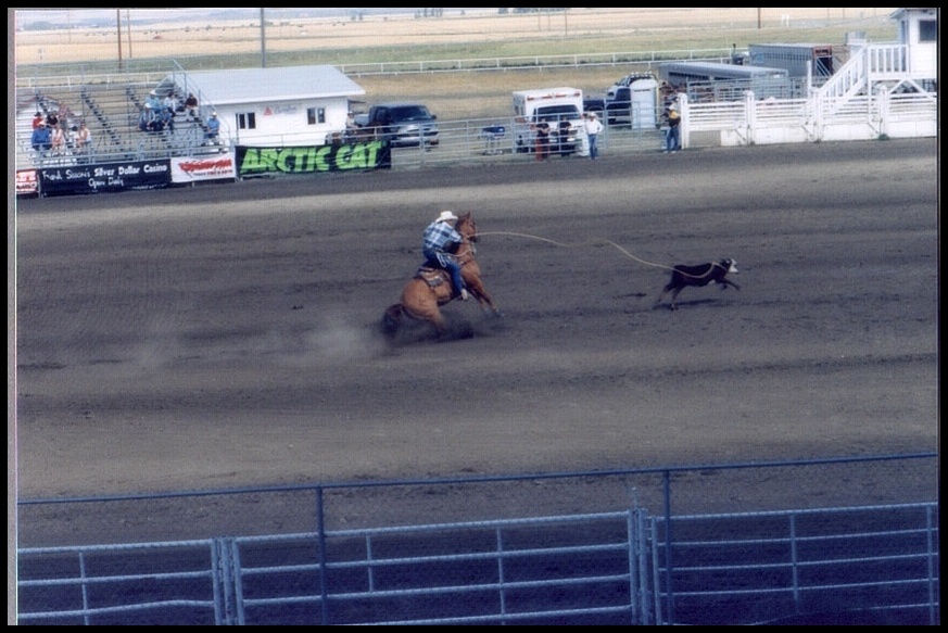 I. Senior Prorodeo High River