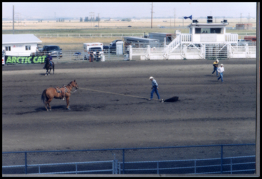 II. Senior Prorodeo High River