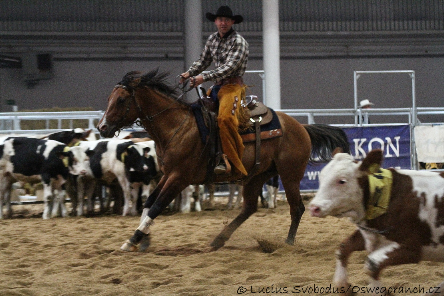 Boon s Ondrou - sezóna 2013 (4)