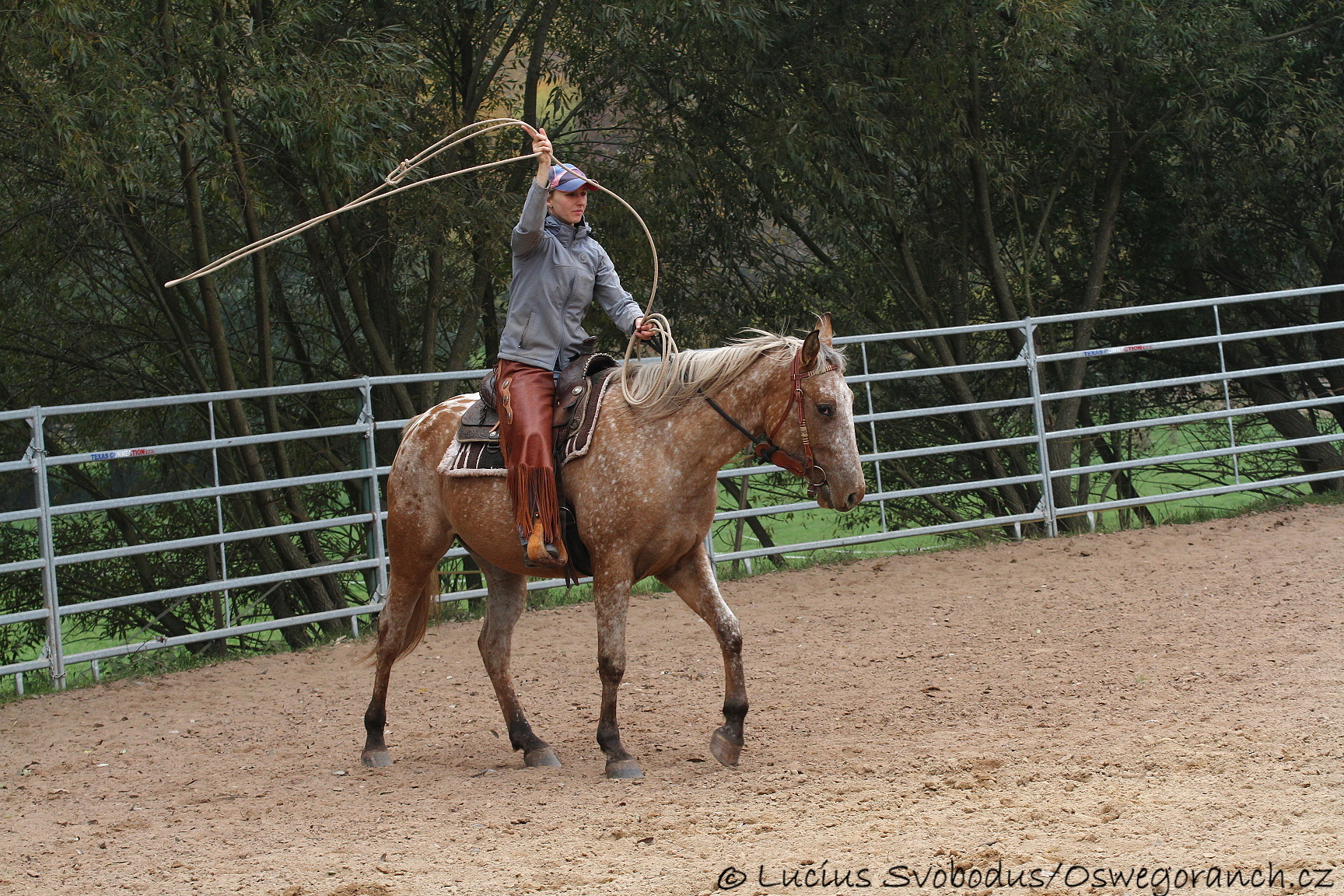 Baty na podzim 2013 (5)