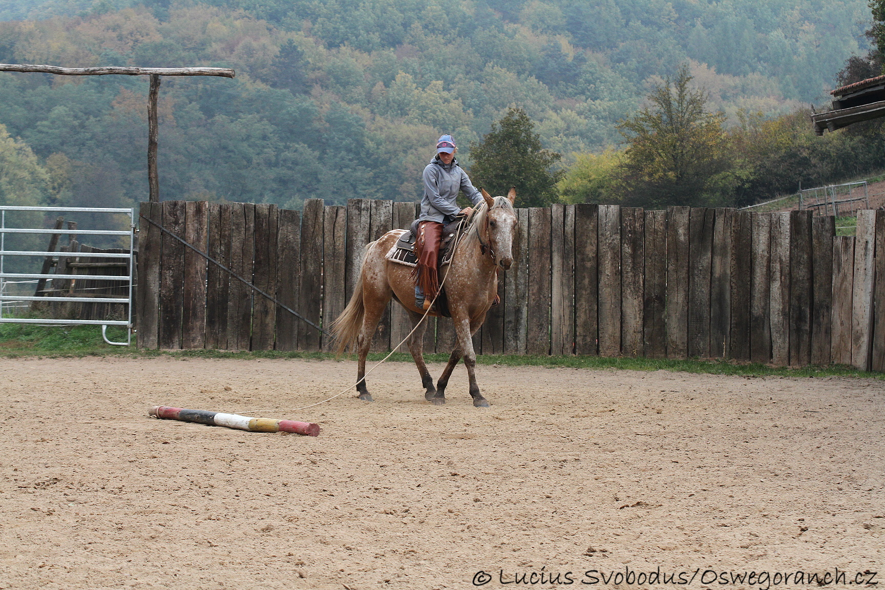 Baty na podzim 2013 (6)