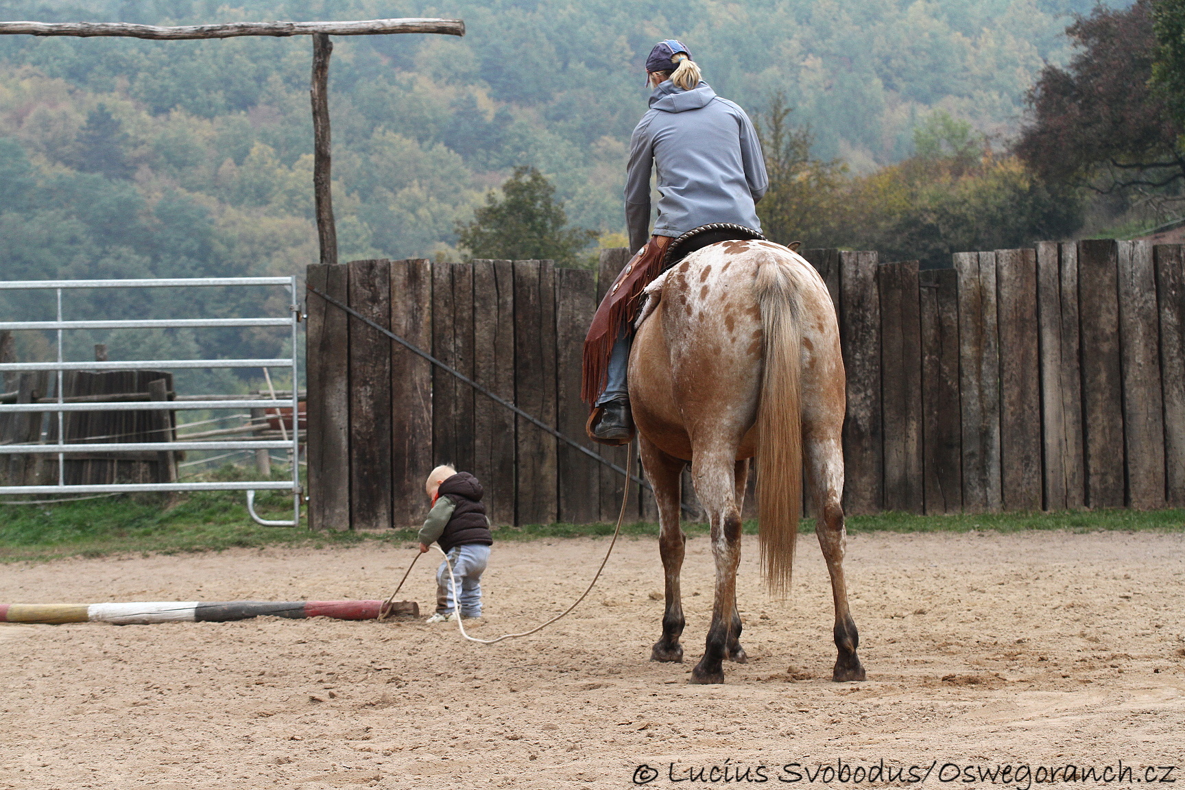 Baty na podzim 2013 (9)