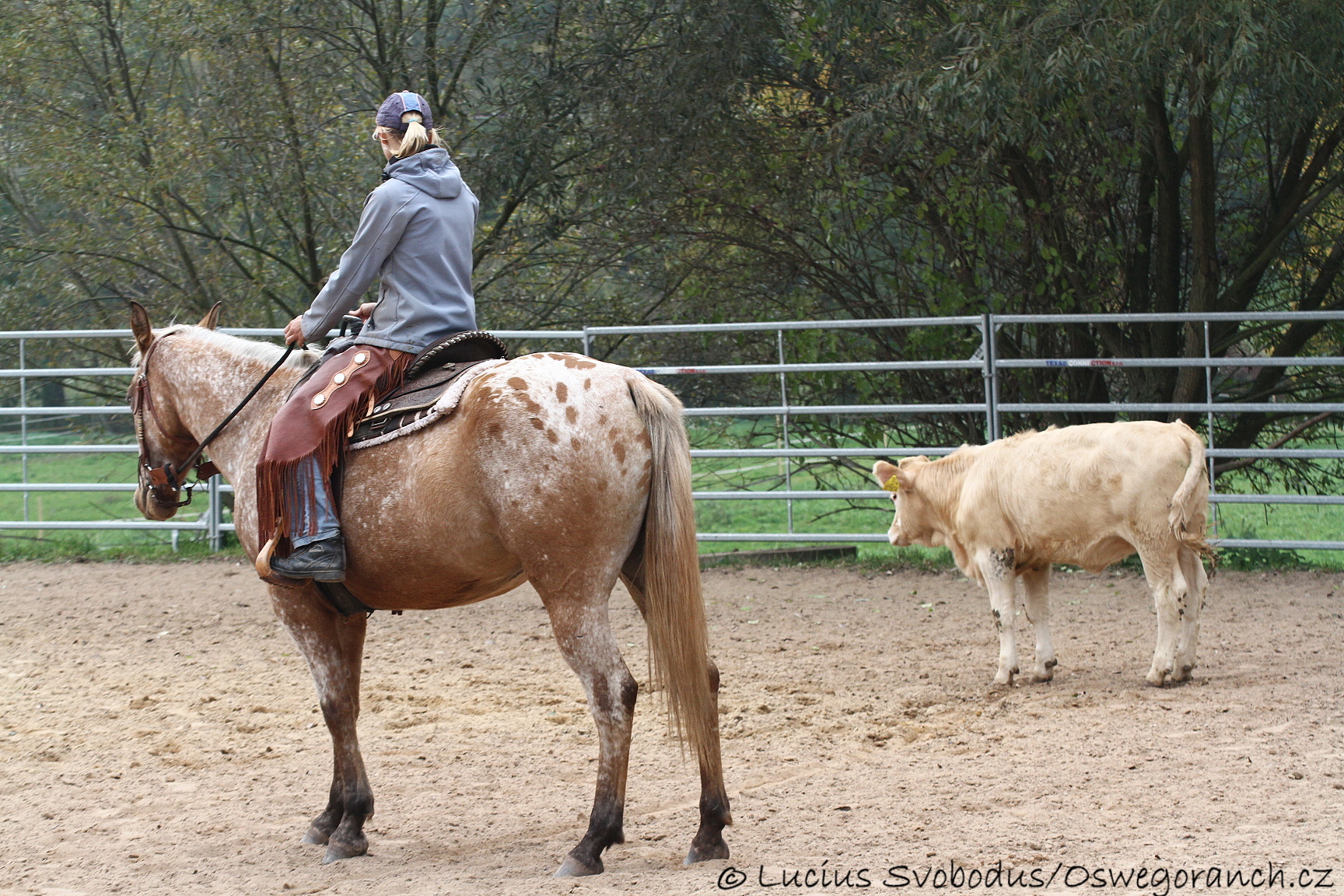 Baty na podzim 2013 (10)