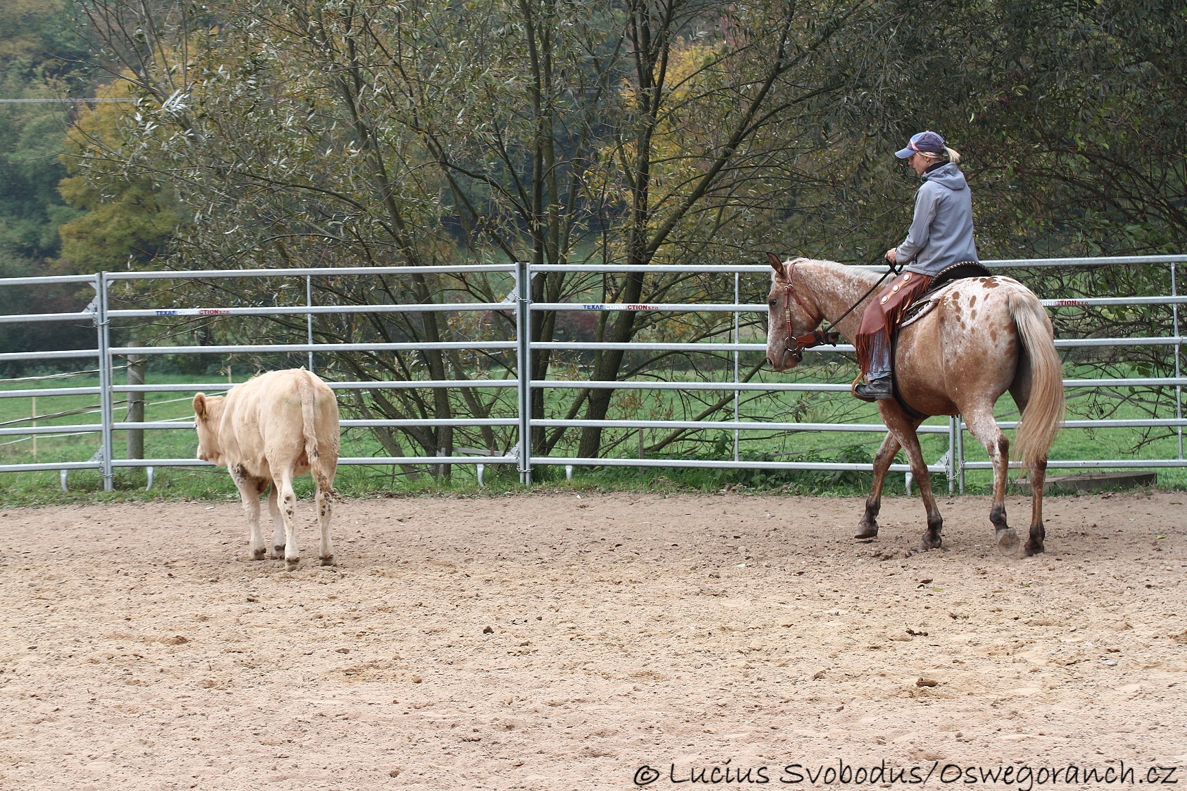 Baty na podzim 2013 (11)