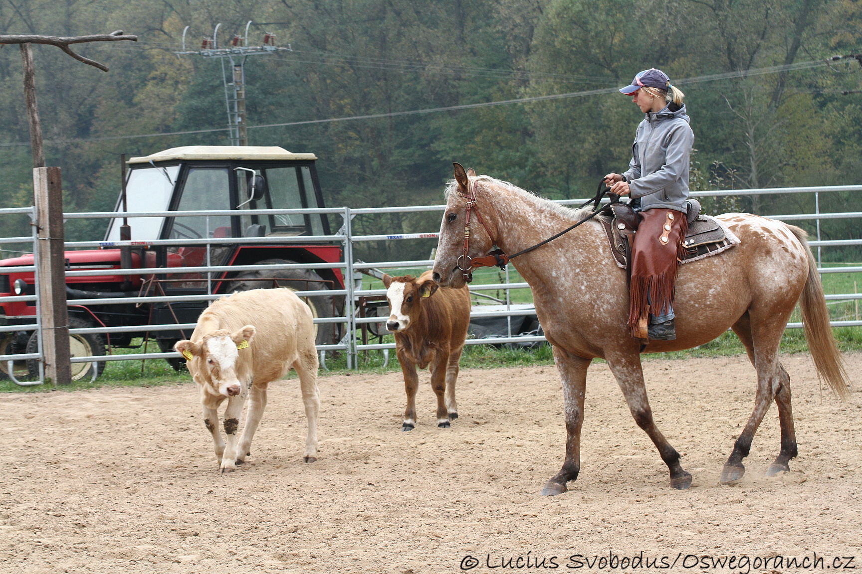 Baty na podzim 2013 (12)