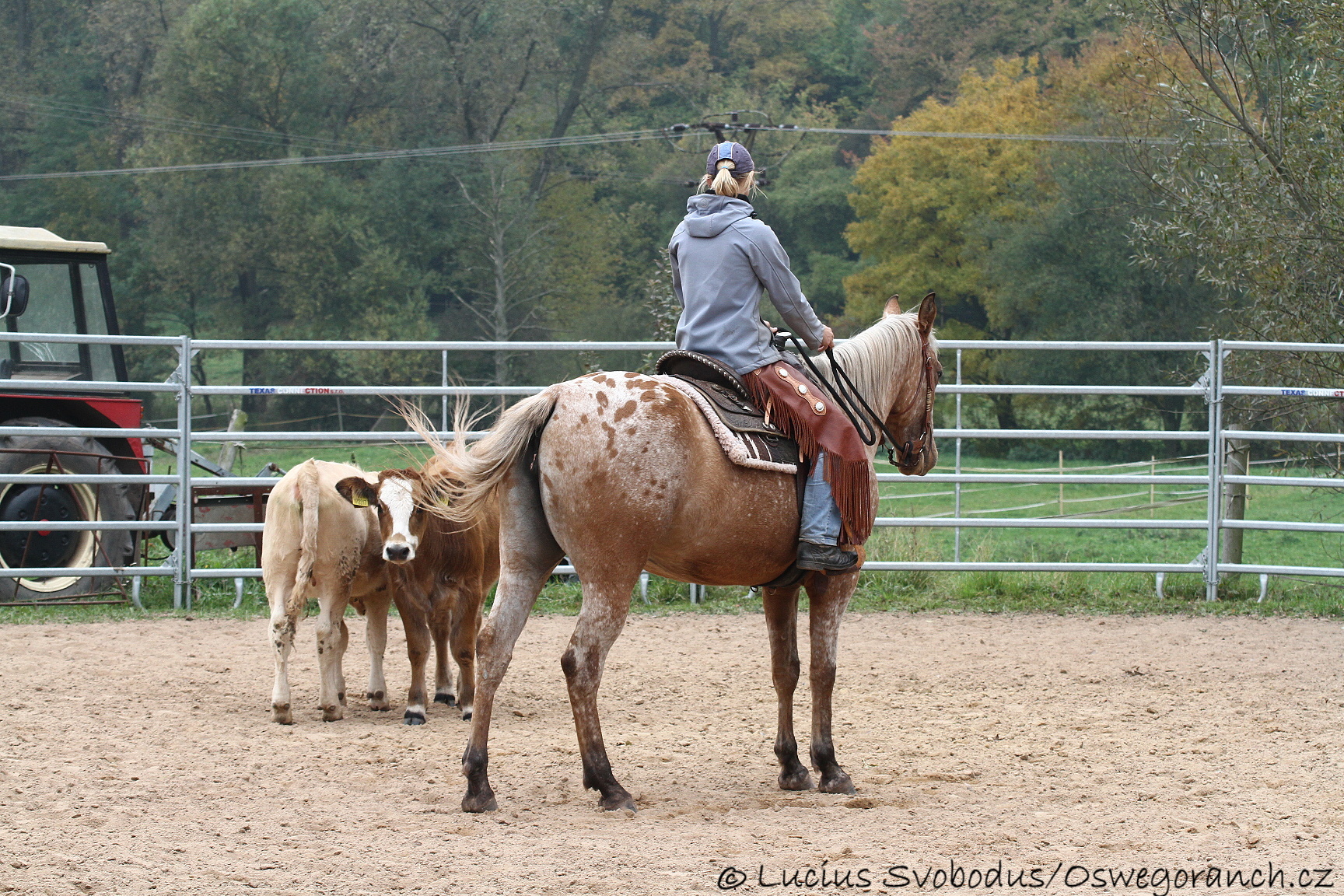 Baty na podzim 2013 (13)