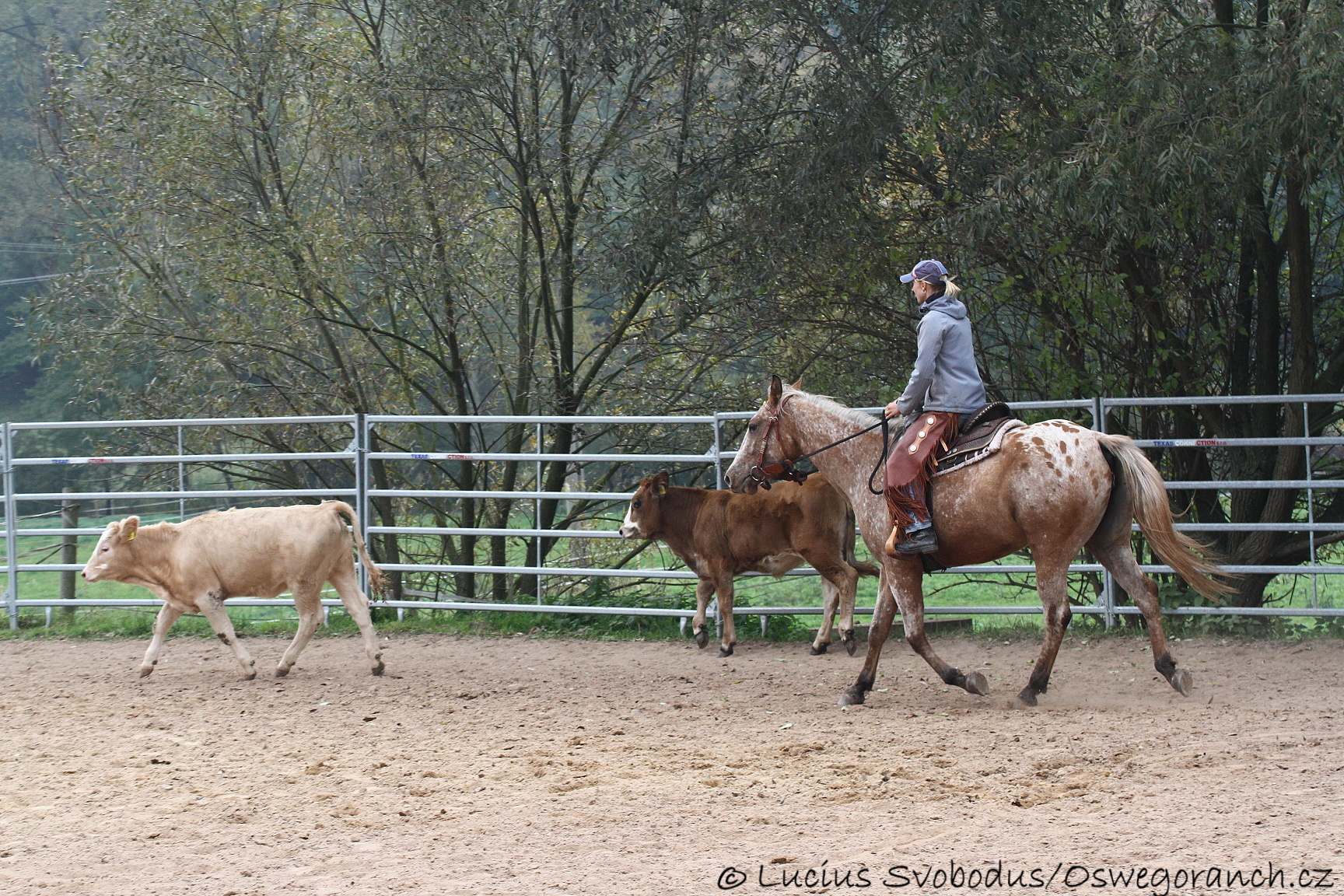 Baty na podzim 2013 (16)