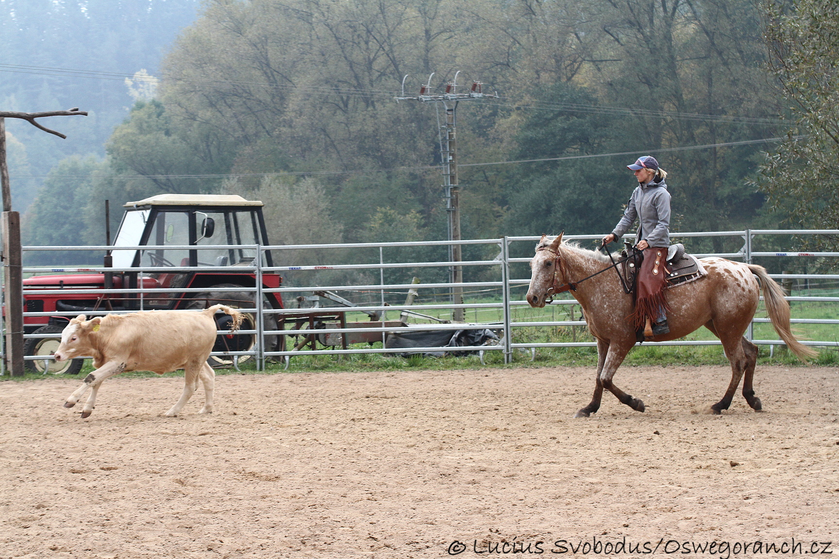 Baty na podzim 2013 (17)