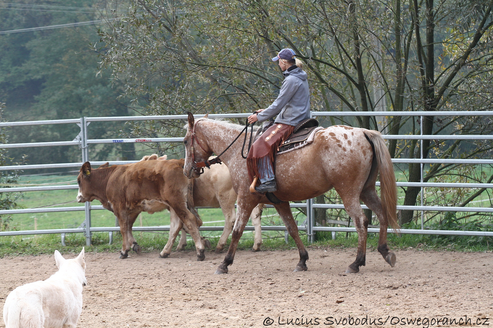 Baty na podzim 2013 (18)