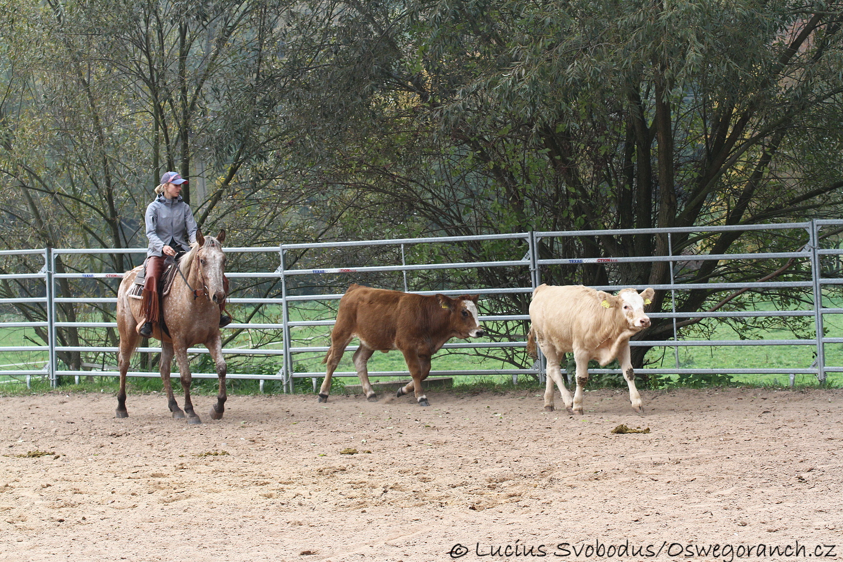 Baty na podzim 2013 (19)