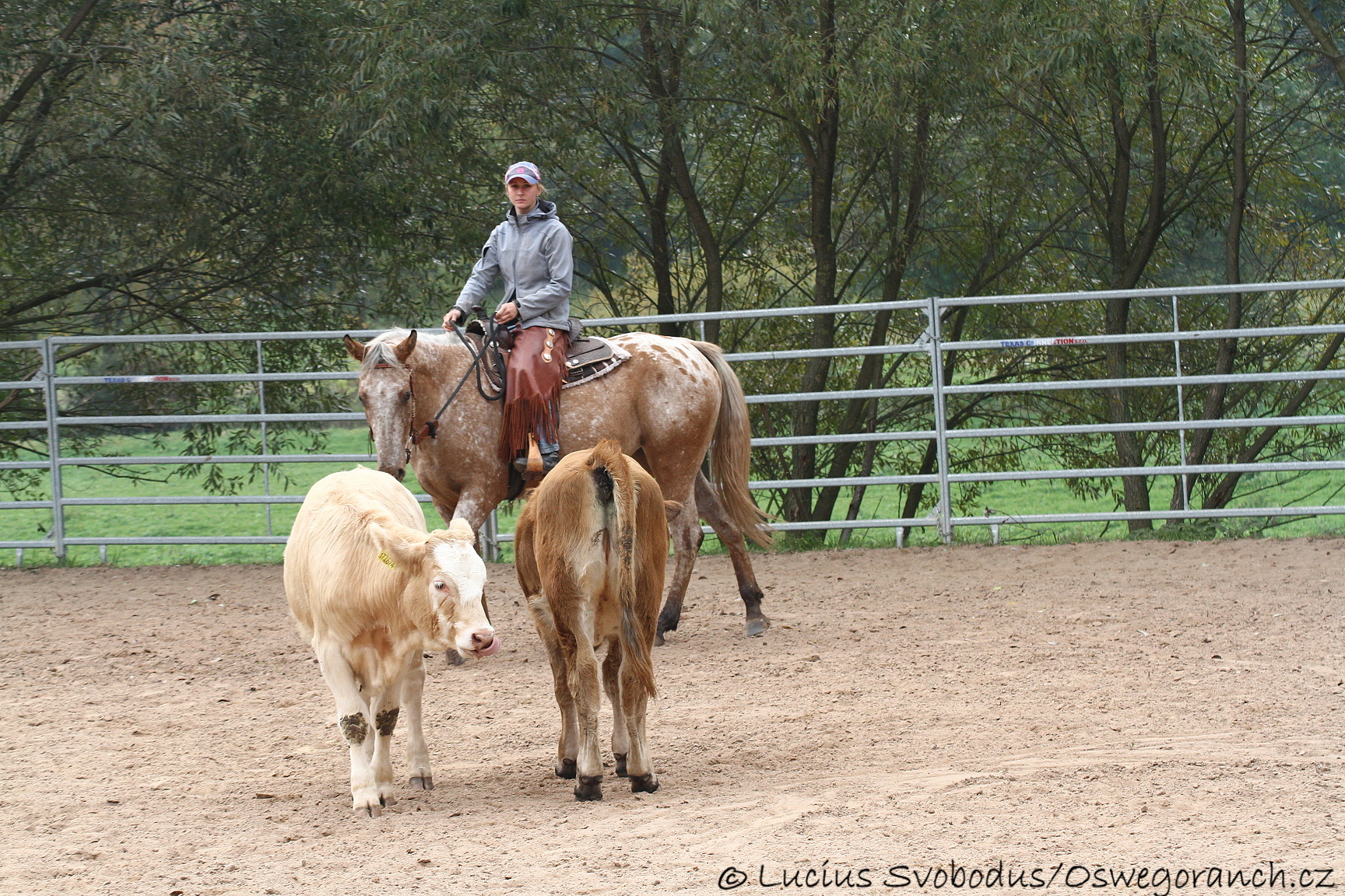 Baty na podzim 2013 (21)