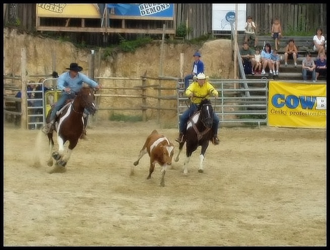 II. Steer wrestling s Becky McCue