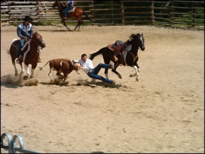 III. Steer wrestling s Becky McCue