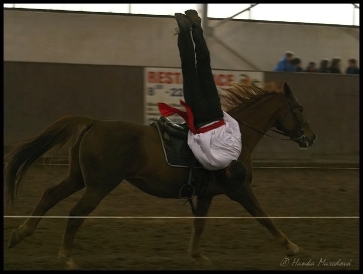 Závody v džigitovce 2009 - stojka