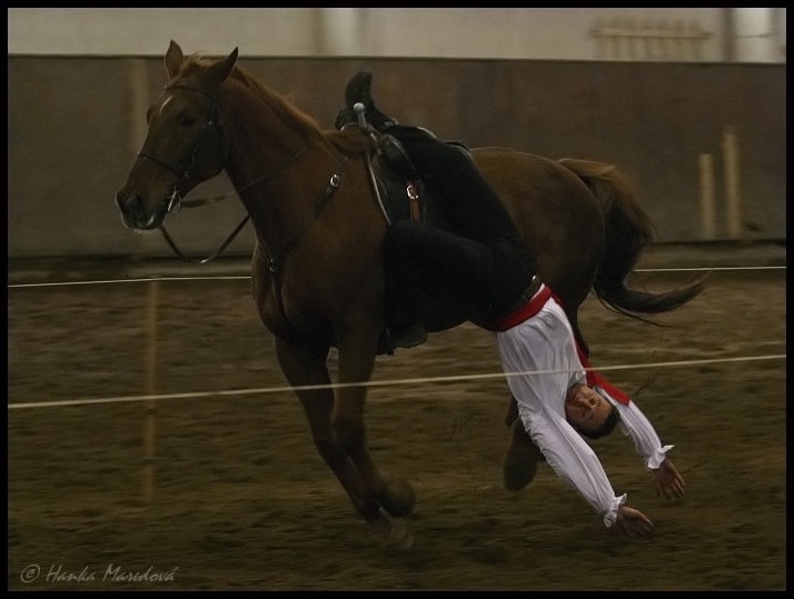 Závody v džigitovce 2009 - vývěs