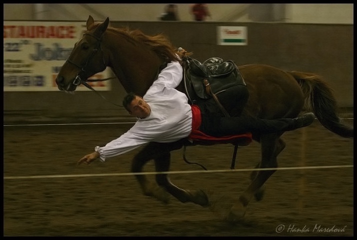 Závody v džigitovce 2009 - kozák