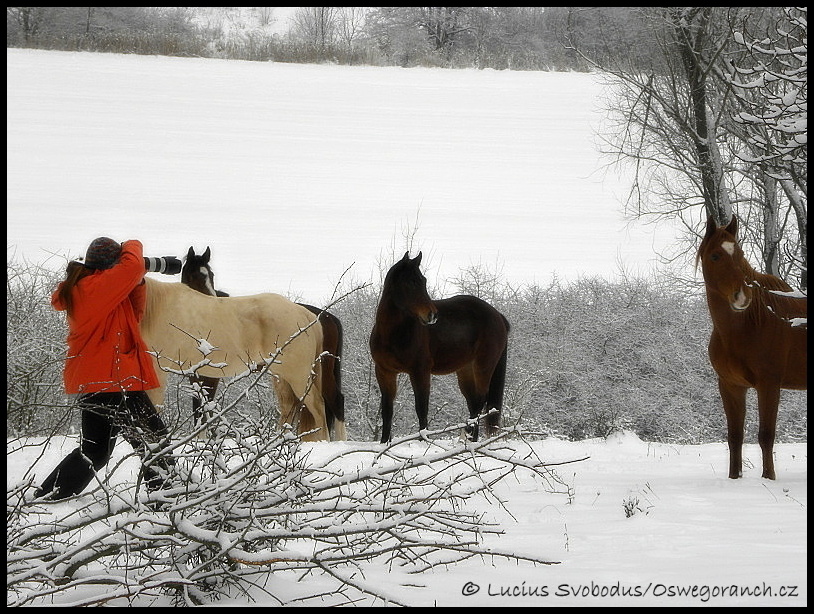 Návštěva fotografky Zuzany Buráňové 11.1.2010