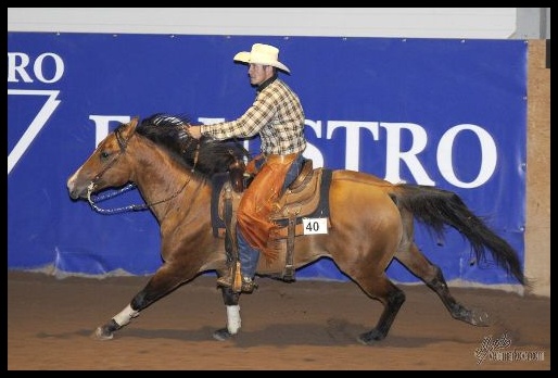 Working Cow Horse - 2011 El Paso