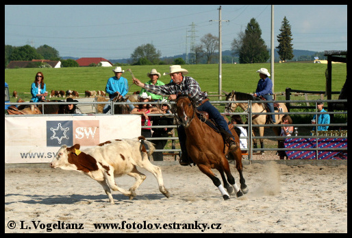 II. Calf Roping 