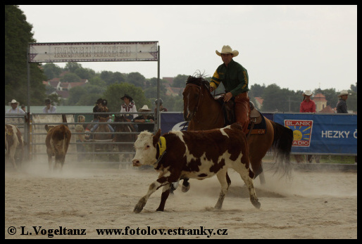 Ranch cutting 