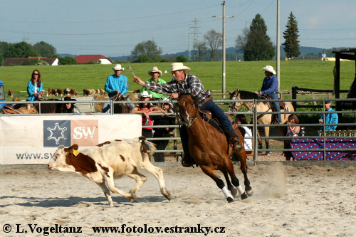 II. Calf Roping