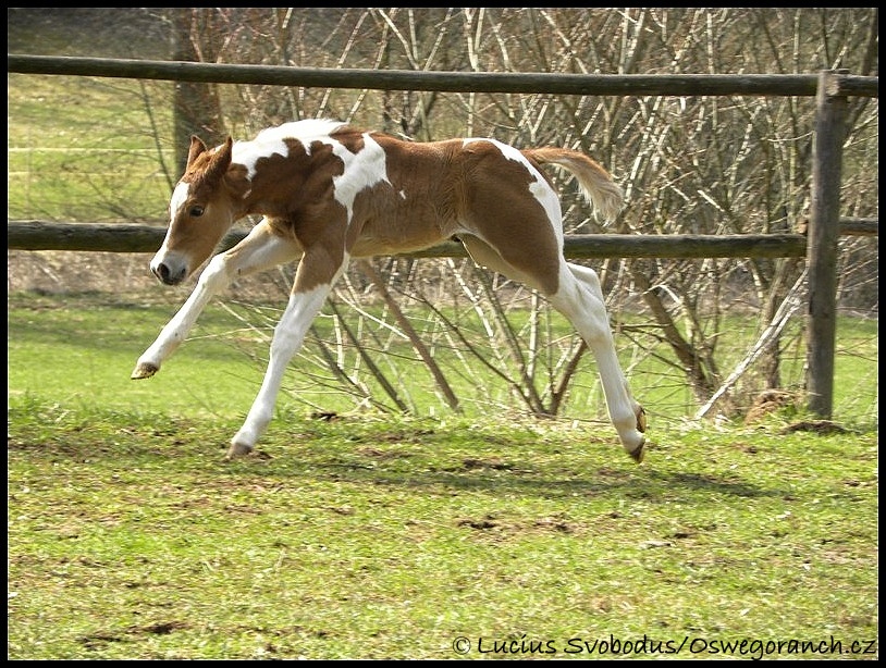 Na světě je prostě krásně 3.4.2010