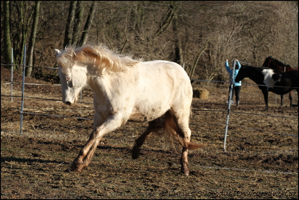 Začátek Jara 2012