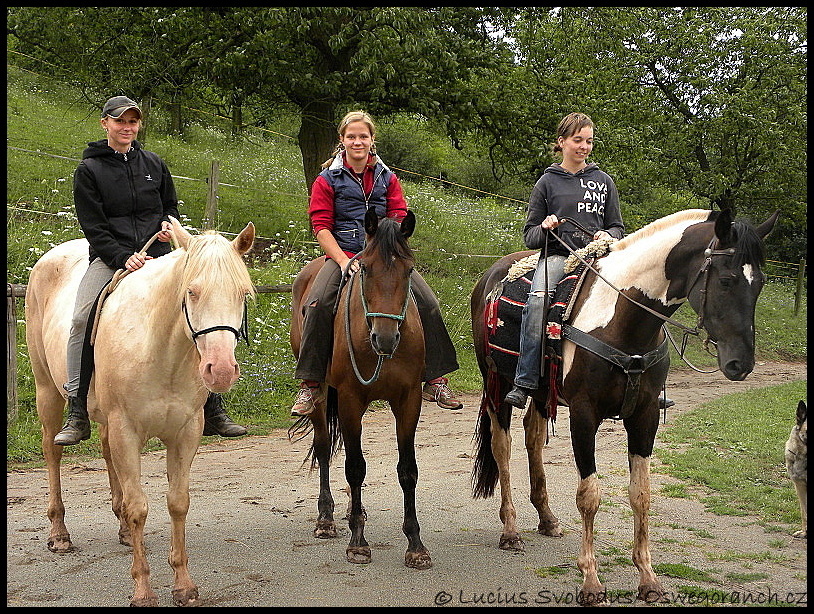 Tzn, Benji a Comanche