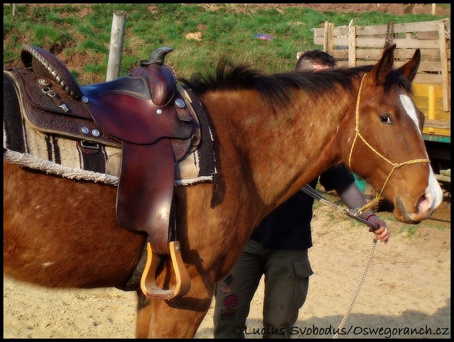 Pokračování ve výcviku 4.4.2009