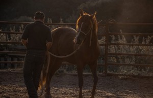 img_6232.jpg