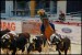 Pro Rodeo 2012 (4)