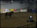 High School Rodeo 