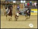 II. Steer wrestling