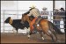 II. Working Cow Horse - 2011 El Paso