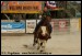 Calf roping